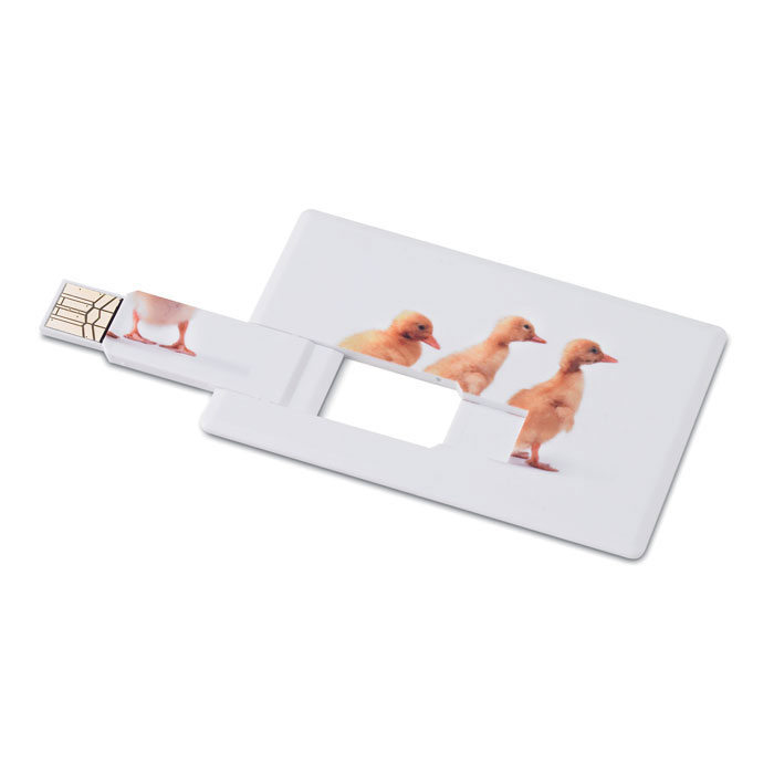 Creditcard. USB flash 16GB     MO1059-06